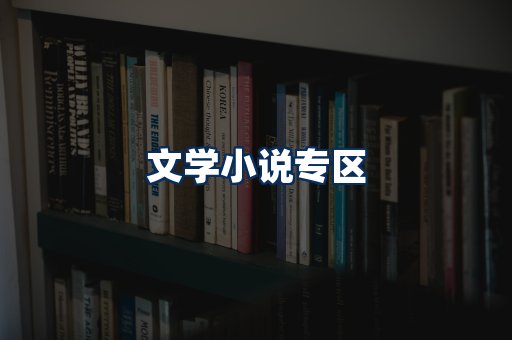文学小说PDF展示
